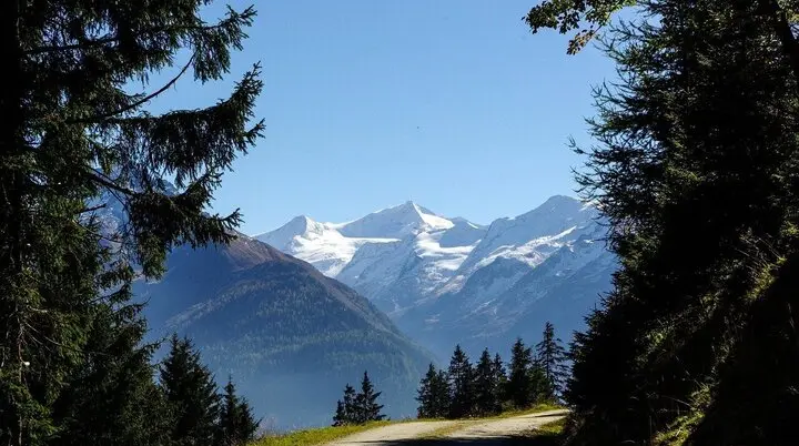 © Bild von Elisabeth Guggenberger auf Pixabay