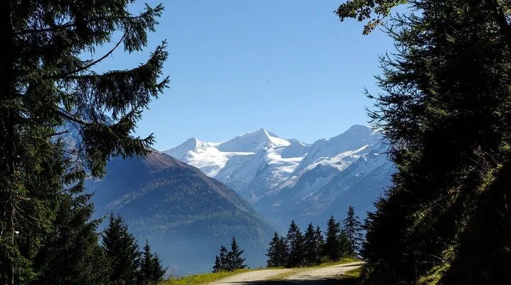 © Bild von Elisabeth Guggenberger auf Pixabay